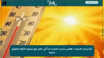 تحذير من الأرصاد: طقس شديد الحرارة غداً في مصر مع شبورة كثيفة وأمواج عاتية!